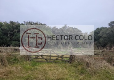 Venta Terreno Chacra LAGUNA DEL ROSARIO