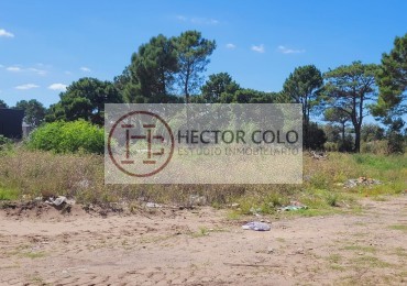 Excelentes Lotes Industriales en Ostende para construir galpones (Codigo 122029)