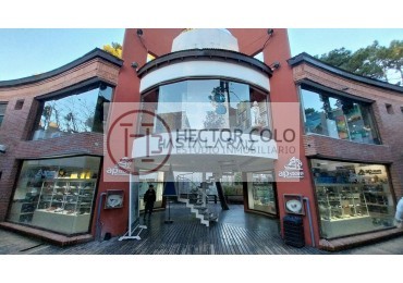 LOCAL PARQUE CARILO (Codigo 33985)